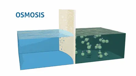 ปั๊มน้ำ RO