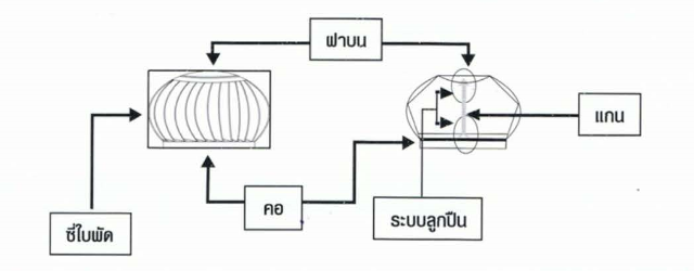 ลูกหมุน